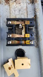 Faulty thermostat hot water system repair